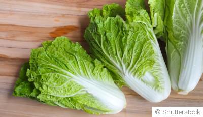 Comment planter et obtenir des choux chinois croquants pour ajouter une touche d\'originalité à tes plats ?