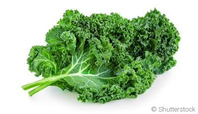 Comment planter et obtenir des choux frisés pour agrémenter tes plats d\'une touche de texture ?