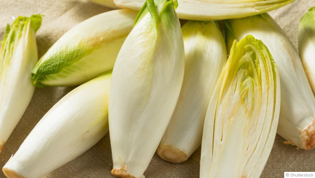 Comment planter et obtenir des endives croquantes pour des salades hivernales ?