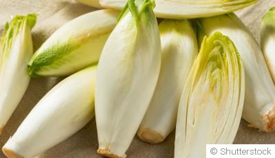 Comment planter et obtenir des endives croquantes pour des salades hivernales ?