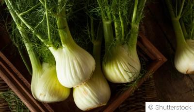 Comment planter et obtenir des fenouils croquants pour apporter une note anisée à tes plats ?