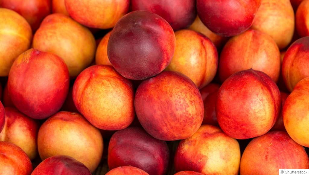 Comment planter et obtenir des nectarines juteuses pour une douceur estivale ?