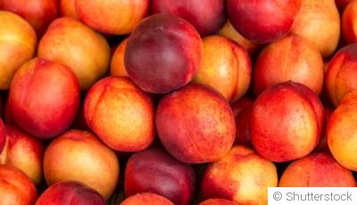 Comment planter et obtenir des nectarines juteuses pour une douceur estivale ?