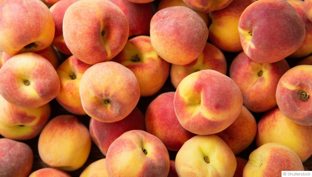 Comment planter et obtenir des pêches sucrées pour une touche gourmande dans ton verger ?