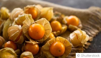 Comment planter et obtenir des physalis pour une touche exotique dans ton jardin ?