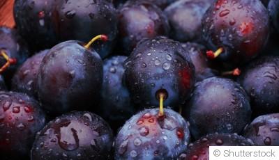 Comment planter et obtenir des prunes juteuses pour des tartes et confitures succulentes ?