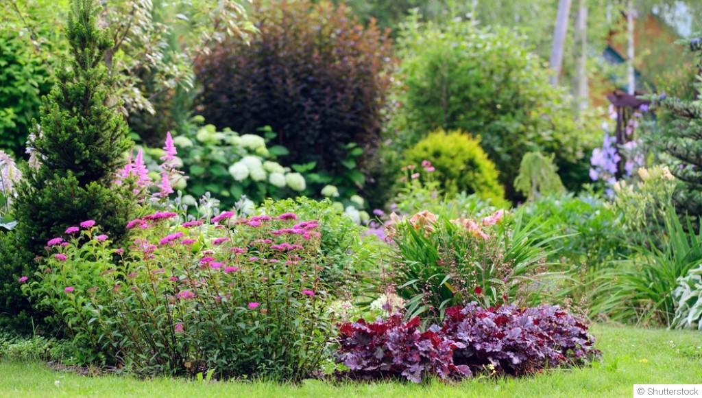 Les plantes d\'ombre pour les espaces ombragés