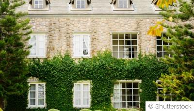 Les plantes grimpantes pour habiller une façade de maison