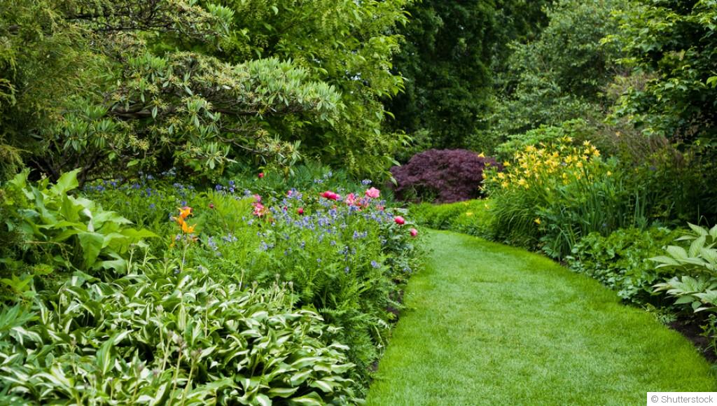 Les plantes résistantes à la pollution pour un jardin en ville
