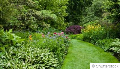 Les plantes résistantes à la pollution pour un jardin en ville
