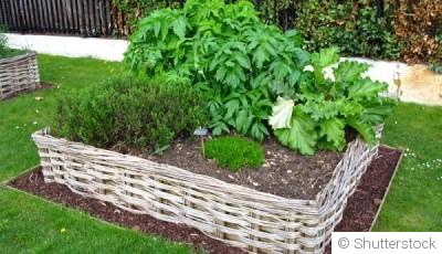Comment faire un potager en lasagnes pour un sol fertile ?