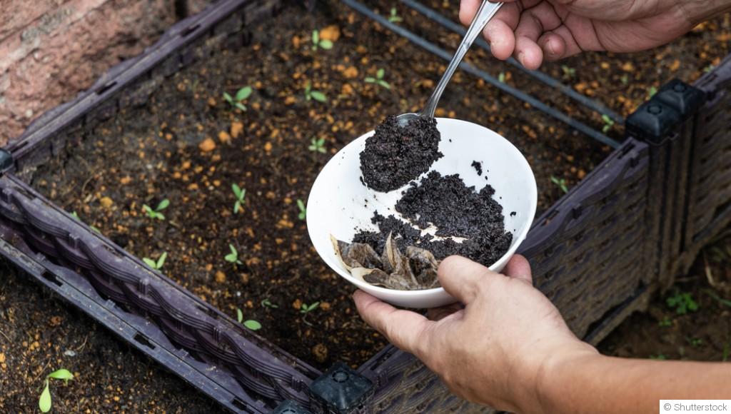 Les avantages et inconvénients des engrais naturels