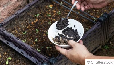 Les avantages et inconvénients des engrais naturels