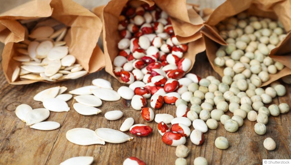 Comment bien choisir ses graines pour un potager productif ?