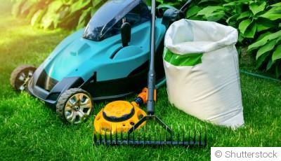 Les secrets d\'une pelouse parfaite : entretien et astuces