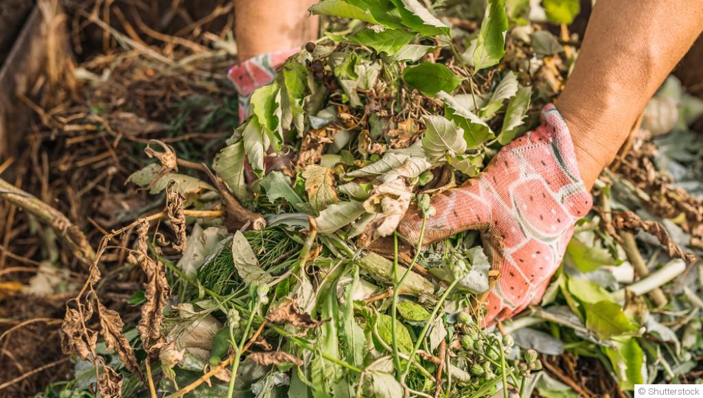 Le compostage à la maison : guide étape par étape