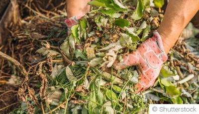 Le compostage à la maison : guide étape par étape