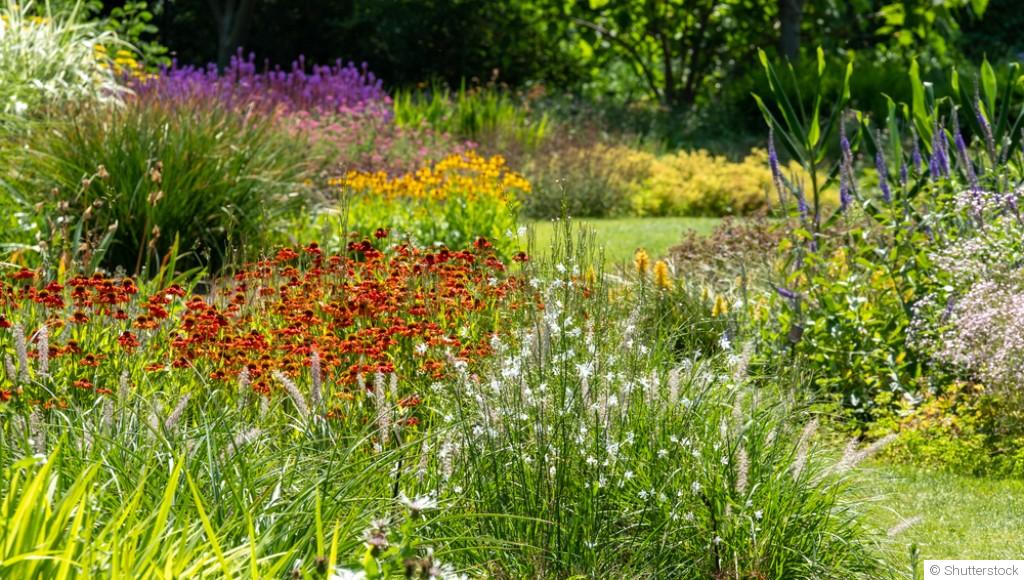 L\'importance de la biodiversité au jardin