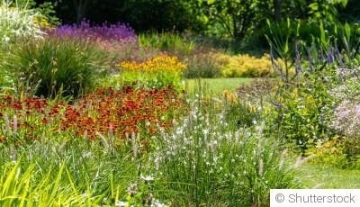 L\'importance de la biodiversité au jardin