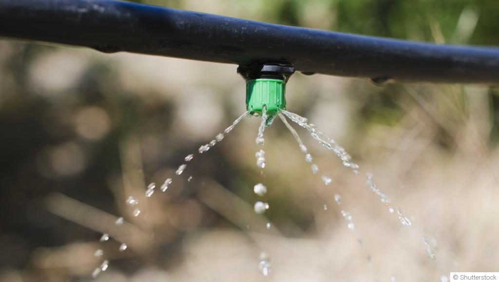 Installer un système d\'irrigation goutte à goutte