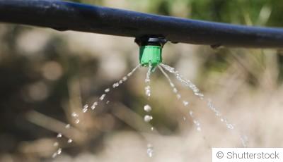 Installer un système d\'irrigation goutte à goutte