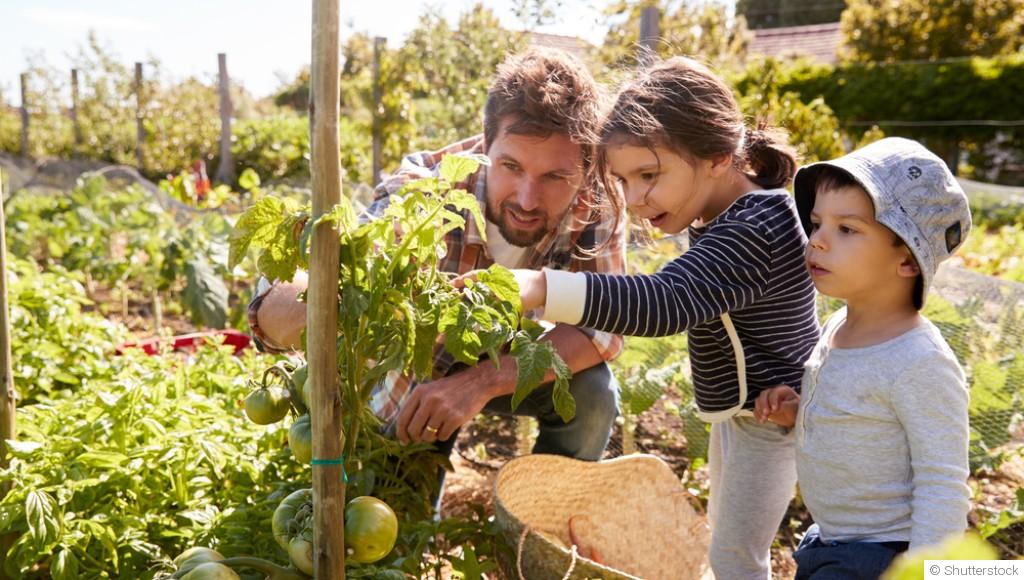 Jardinage pour enfants : activités éducatives et ludiques
