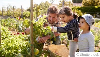 Jardinage pour enfants : activités éducatives et ludiques