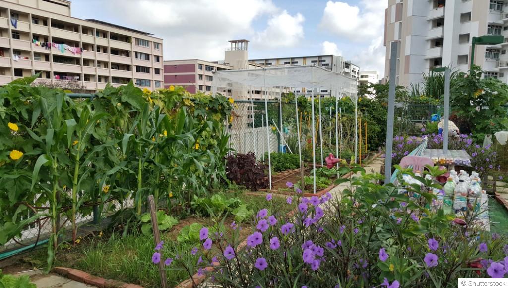 Le jardinage urbain : comment maximiser son espace en ville ?