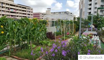 Le jardinage urbain : comment maximiser son espace en ville ?