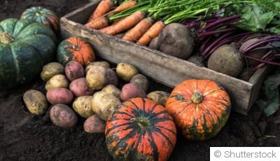 Les meilleurs légumes à cultiver en automne