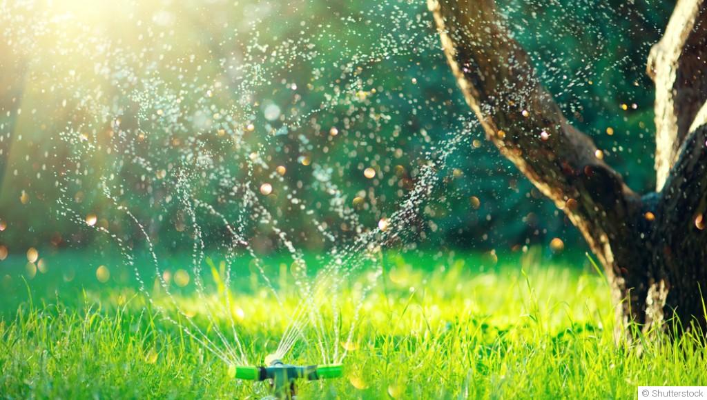 Astuces pour optimiser l\'arrosage de son jardin