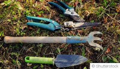 Les meilleurs outils de jardinage pour chaque tâche