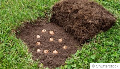 Comment préparer son sol pour le printemps ?