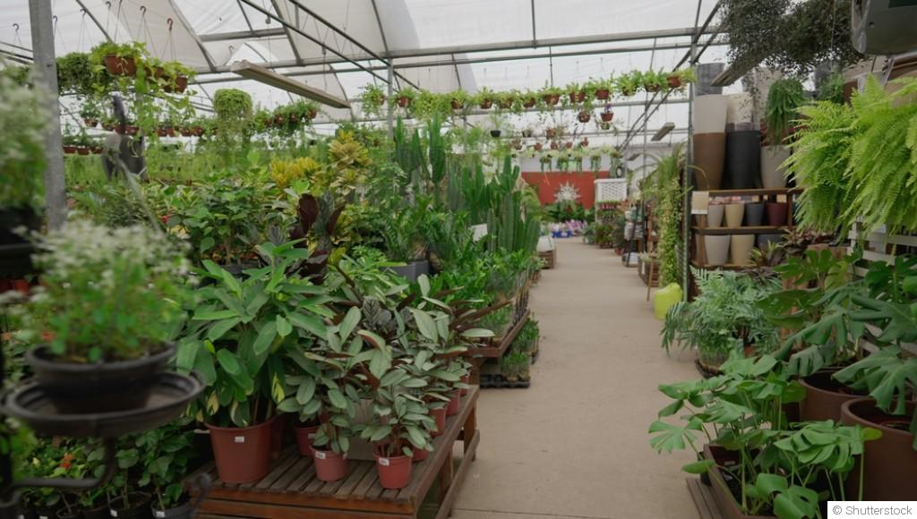 Les principes du jardinage biodynamique expliqués