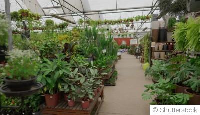 Les principes du jardinage biodynamique expliqués