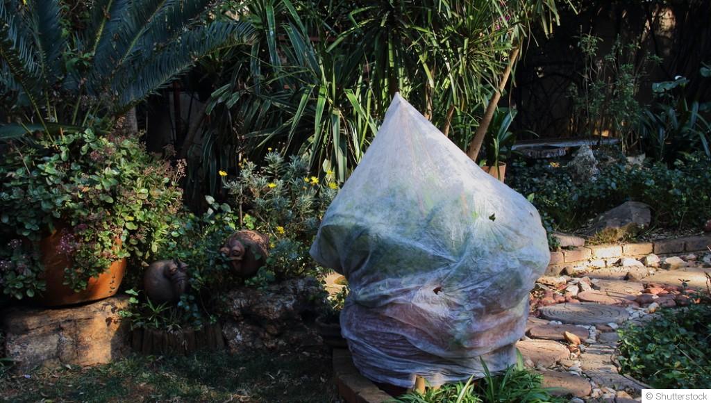 Comment protéger ses plantes du gel hivernal ?