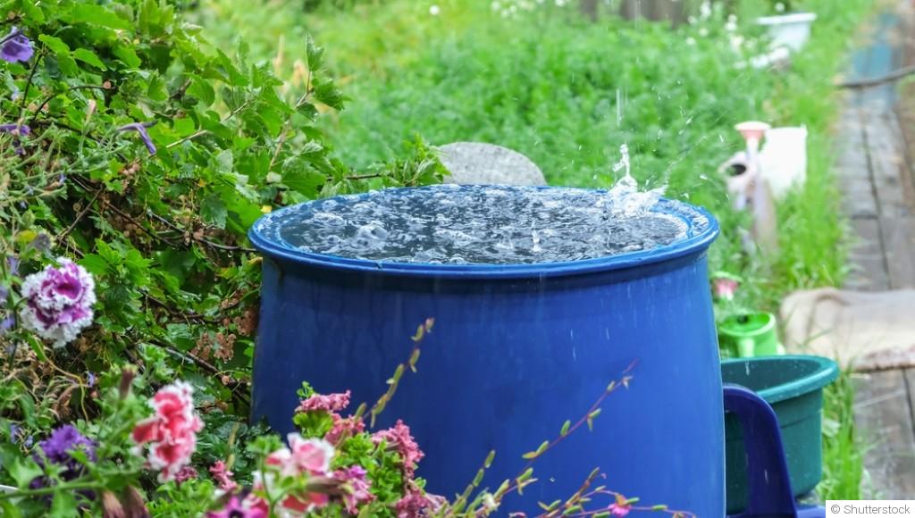 Récupérer l\'eau de pluie pour l\'arrosage : avantages et mise en place