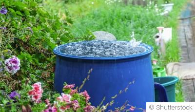 Récupérer l\'eau de pluie pour l\'arrosage : avantages et mise en place