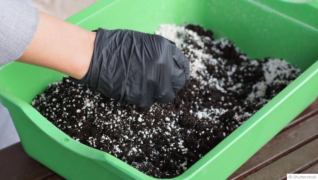 Comment améliorer la santé de son sol avec les engrais verts ?