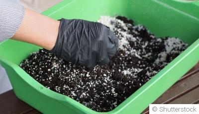 Comment améliorer la santé de son sol avec les engrais verts ?