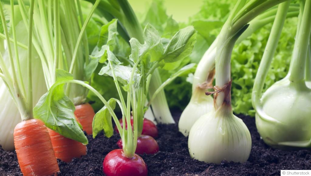 Ces 10 légumes qui repoussent à l\'infini