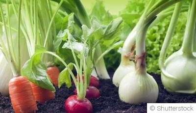 Ces 10 légumes qui repoussent à l\'infini