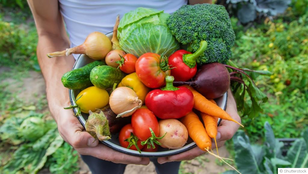 10 légumes résistants au froid à cultiver en hiver