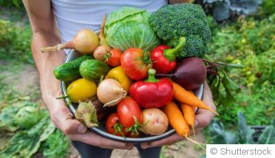 10 légumes résistants au froid à cultiver en hiver