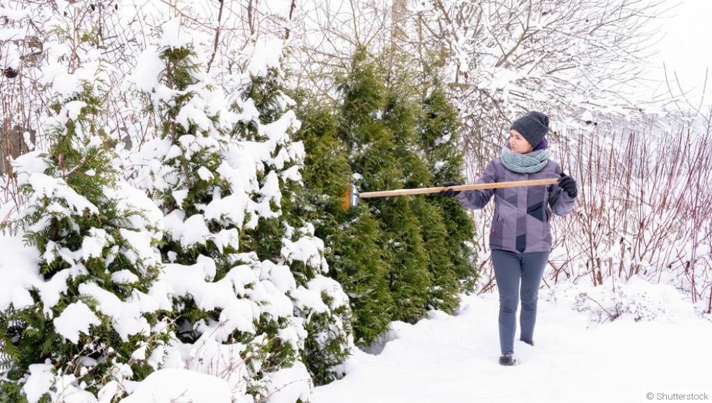 Astuce pour utiliser la neige dans le soin de votre jardin