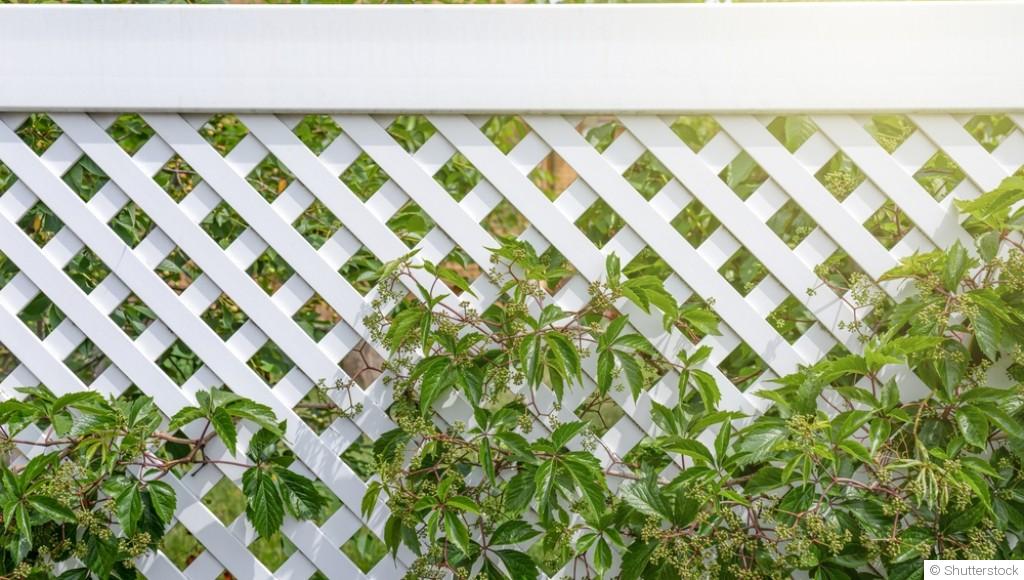 Utiliser des barrières anti-vent pour le jardinage en hiver