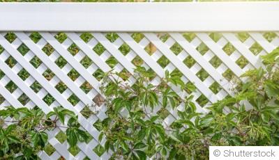 Utiliser des barrières anti-vent pour le jardinage en hiver