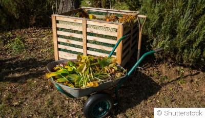 Créer un compost efficace en hiver
