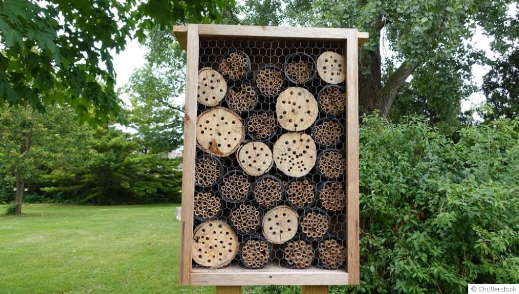 Construire un hôtel à insectes pour un jardin d\'hiver