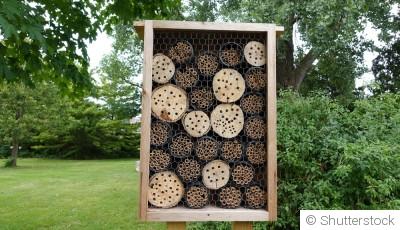 Construire un hôtel à insectes pour un jardin d\'hiver